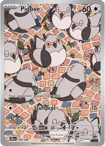 Pidove - 148/086 [BLK - 148/086]