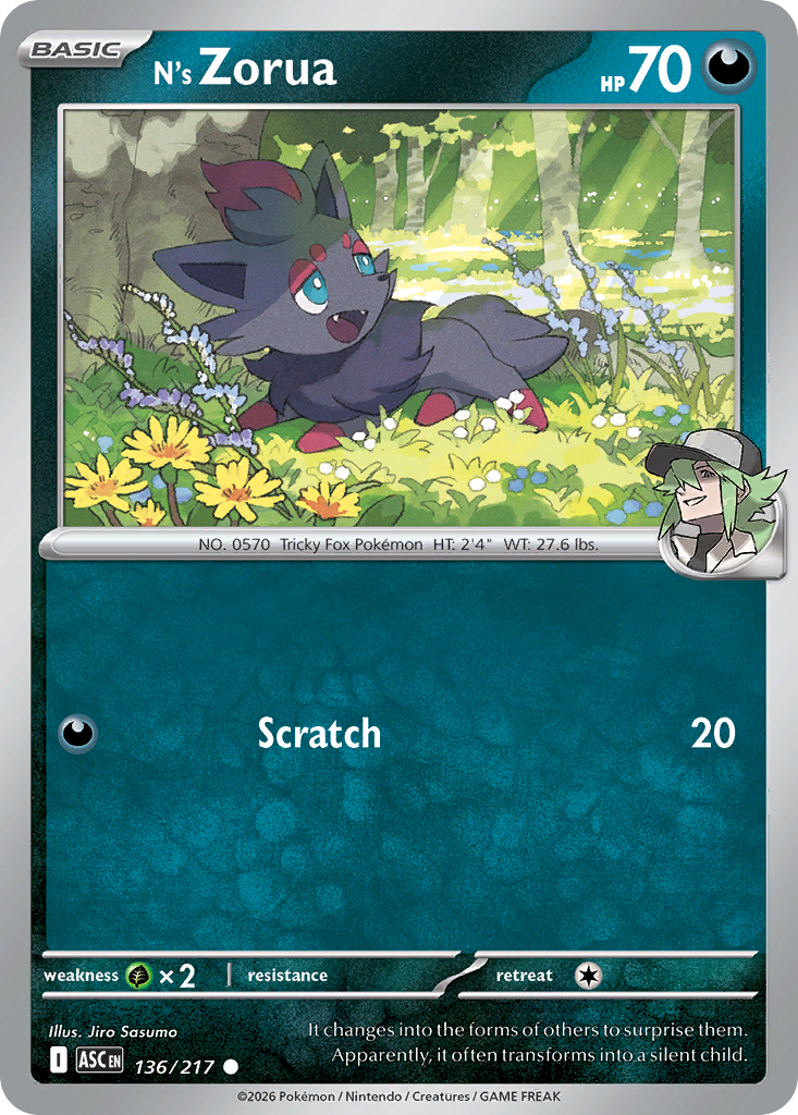 N Zorua